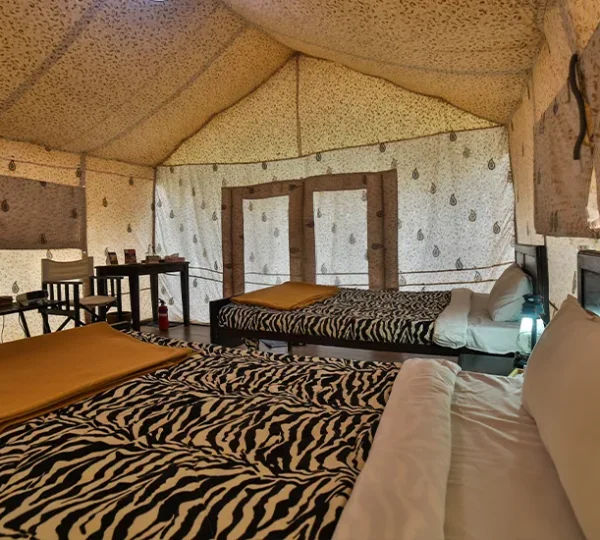 Deluxe-Non-AC-Swiss-Tents-1-B
