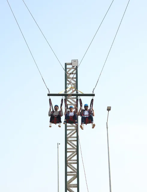 Giant Pendulum