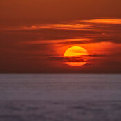 vadodara to rann utsav