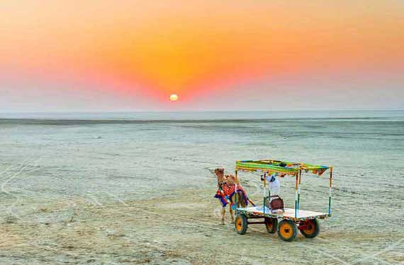 How to Reach Rann Utsav From Mumbai
