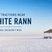 Top Attractions Near White Rann You Should Not Miss