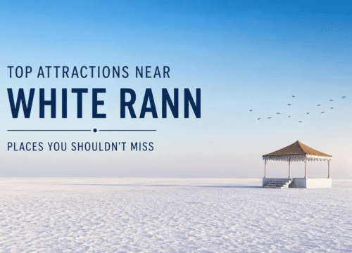 Top Attractions Near White Rann You Should Not Miss