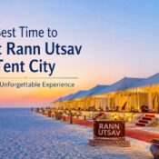 Best Time to Visit Rann Utsav Tent City